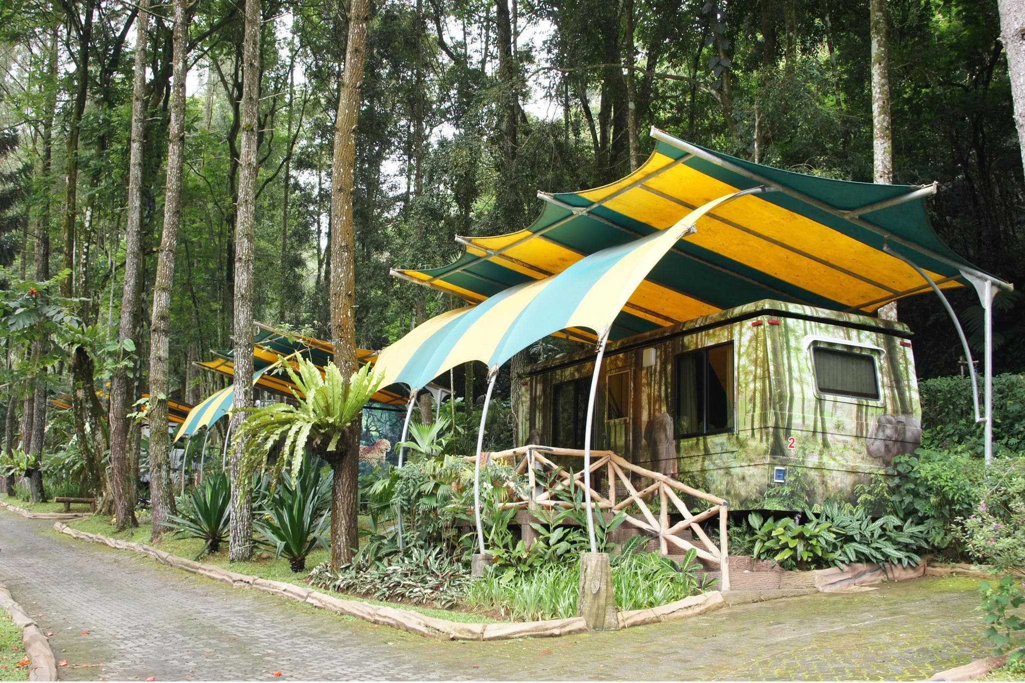 Safari Resort