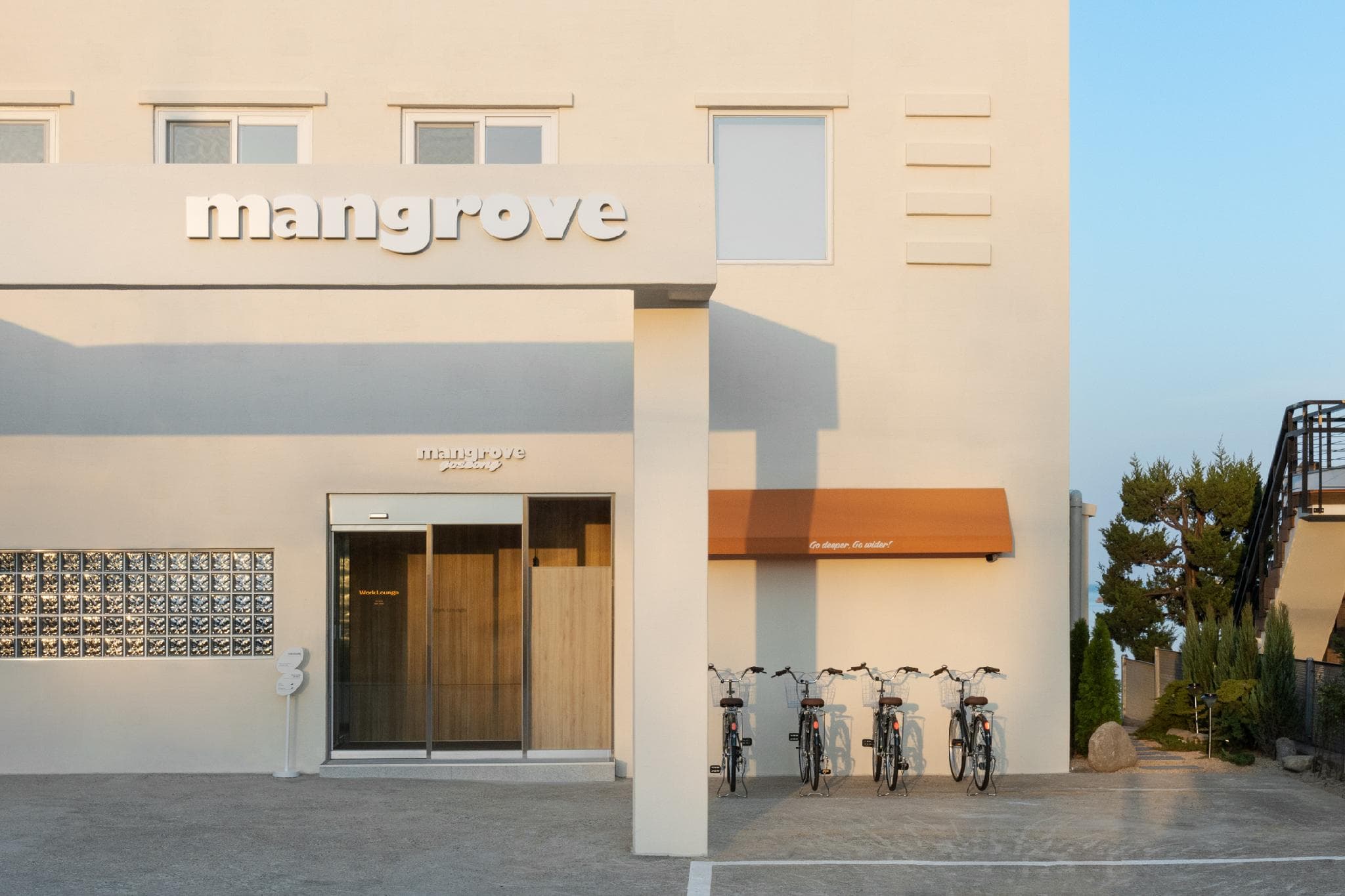 Mangrove Goseong