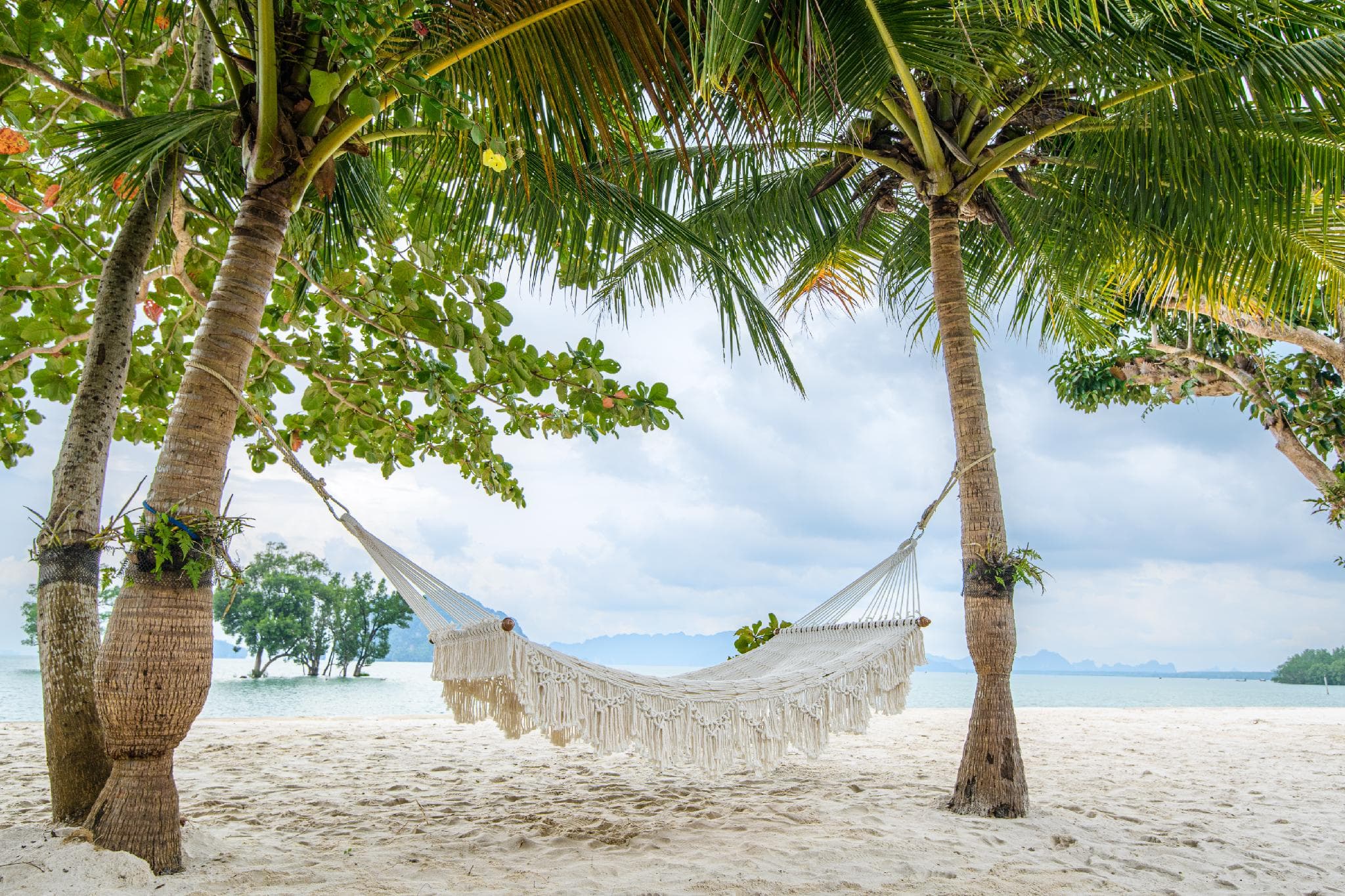 Mangrove Bay Krabi Beachfront Pool Villa