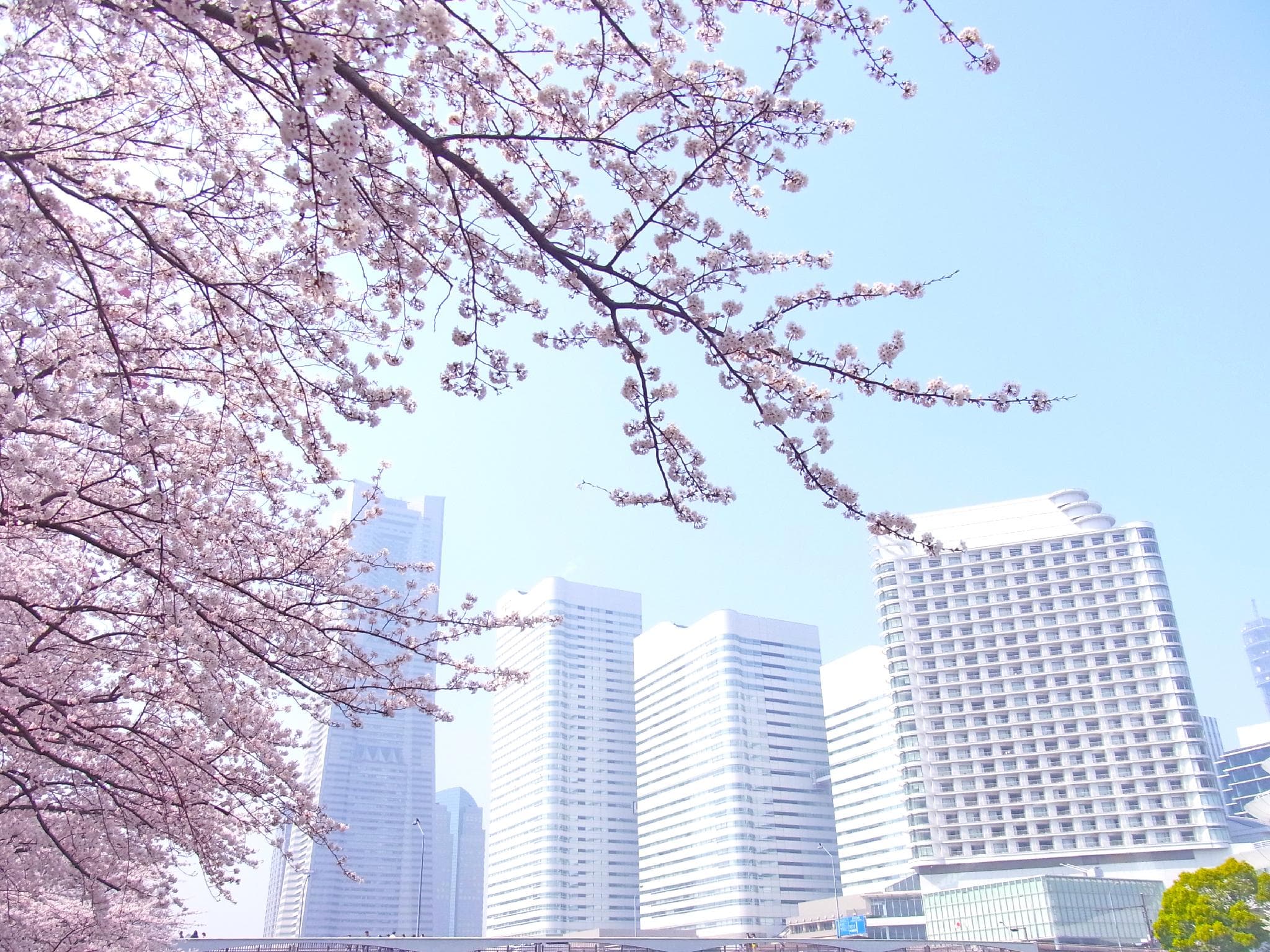The Yokohama Bay Hotel Tokyu